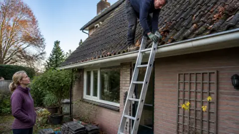 Quel est le coût d'entretien annuel d'une toiture ?