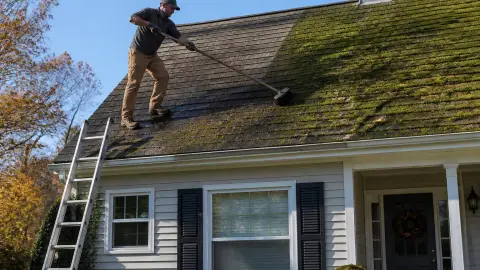 Pourquoi faut-il démousser sa toiture régulièrement ?